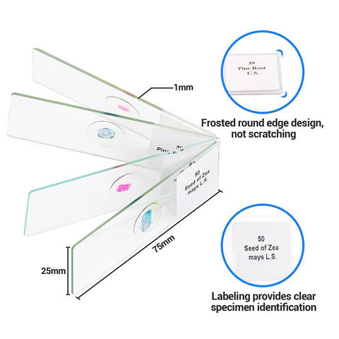 Side view of 100 Prepared Microscope Slides With Specimens For Kids And Adults Bacteria Fungus Human Tissues Mitosis Plants Insects And Animal Cells For A Hands On Biology Lab At School Science Class And Home Learning, showing frosted edges and labels.