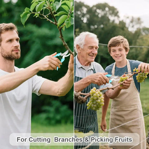 People using Two Pack Pruning Shears With Stainless Steel Blades, Low-Friction Nonstick Cut for branches and fruit cutting