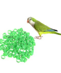 10mm Pigeon Leg Bands Identify Rings Pack Of 100 shown with green parrot for bird ID and tracking.