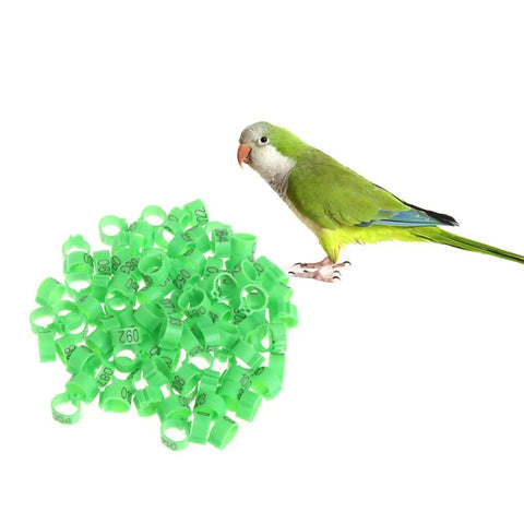 10mm Pigeon Leg Bands Identify Rings Pack Of 100 shown with green parrot for bird ID and tracking.