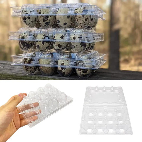 50 Pack Quail Egg Cartons With 12 Grid Trays Each For Storing Quail Pheasant And Pigeon Eggs, Clear PVC Plastic With Snap Lock Design