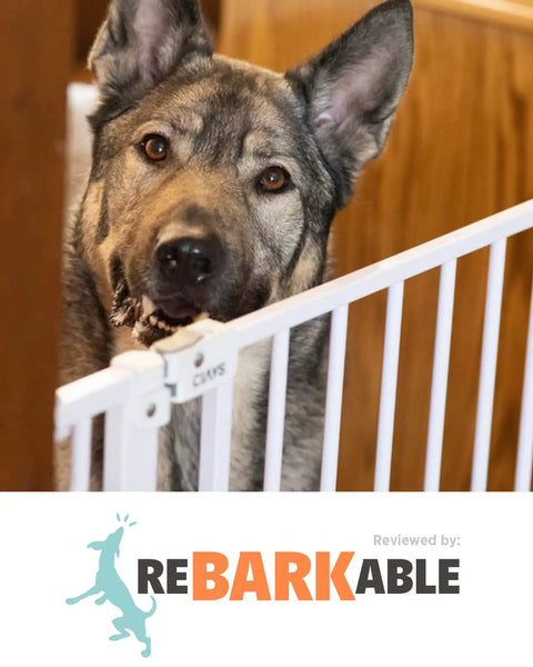Dog behind Adjustable Baby Gate For Stairs And Doorways From 29.5 To 41.3 Inches Wide, 30 Inches Tall, Extra Wide Auto Close Gate