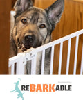 Dog behind Adjustable 29.5 To 53.1 Inch Baby Gate For Stairs And Doorways 30 Inch Height Extra Wide Auto Close Safety Gate For Pets
