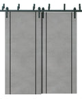 Bypass Sliding Door Set With 6.6Ft Heavy Duty Rails, Double 48In X 80In Doors Two Panels At 24X80, Top Mount Hardware
