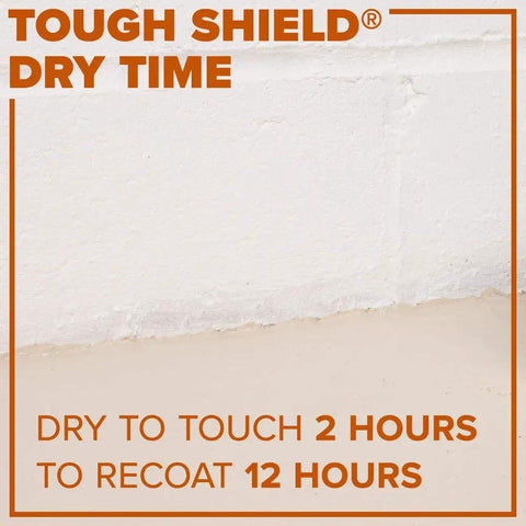 Wall and floor with Tough Shield Floor And Patio Paint dry time of 2 hours to touch, 12 hours for second coat.