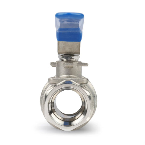 3/4-inch stainless steel ball valve with blue lever handle, full-port, female NPT.