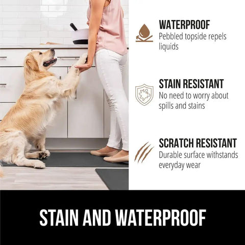 Dog sits near person on 2 Pack Cushioned Kitchen Floor Mats, 17x29 and 17x59, waterproof and stain resistant, charcoal color.