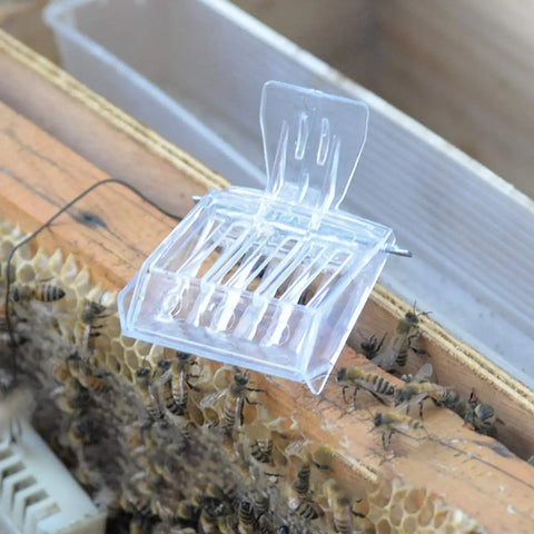 Clear Queen Bee Cage Catcher Clip Set For Beekeeping Tools open above honeycomb with bees, showcasing spring-loaded design.