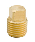 Legines solid brass 1/8 in NPT male square-head pipe plug, close-up view