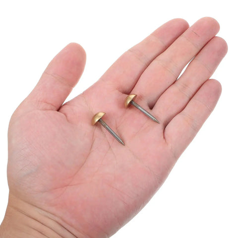 Two solid brass upholstery tacks with 1/2 inch heads in a hand, ideal for furniture projects and home decor fixes.
