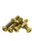 Top Shelf Brass Pan Head Hex Nut Combination Kit With Assorted Metric Cross Recess Machine Screws For Quick Fixes and Professional Vehicle Gear Mods, featuring brass pan head screws.