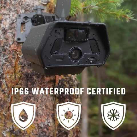 Defend 4G Cellular Security Camera With Live View 4K Photo And 1080p Video No WiFi Needed Night Vision installed on tree