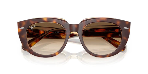 Doreen Low Bridge Fit Sunglasses, Light Havana Transparent Frame With Clear Gradient Brown Lenses, XL Wide Face Fit
