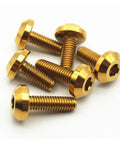 Grade 5 Titanium Hex Socket Screws For Motorcycle Disc Brake Fasteners M6 M8 gold hex bolts in close-up angle on white background.
