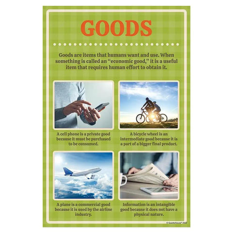 Economics Vocabulary Poster Set for Social Studies Classrooms 10 12 By 18 Inch Posters for K 12 Students and Teachers Made in USA showing goods and examples.