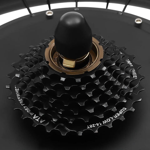Close-up of rear hub gears for Beast 1000W Fat Tire Ebike Brushless DC Motor Conversion Kit With 48V Battery