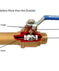 Cutaway of Brass Three Quarter Inch Water Heater Drain Valve Full Port showing components and features