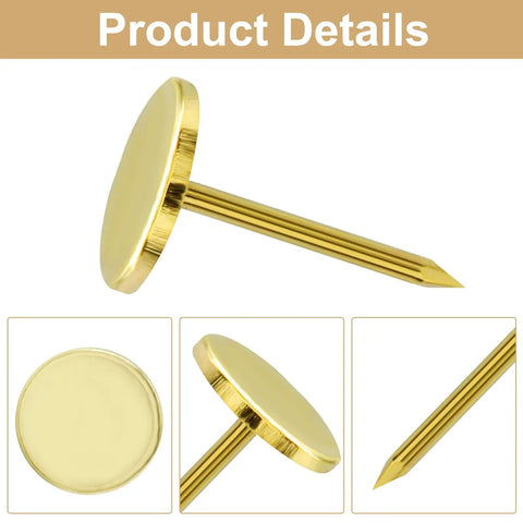 Real Deal Gold Flat Head Thumb Tacks One Hundred Pack Killer Quality Solid Metal Drawing Pins showing gold flat head and sharp point.