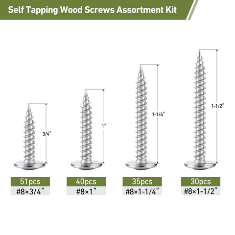 Heavy Duty Stainless Steel 156 Piece Screw Assortment Kit Featuring Self Tapping Phillips Modified Truss Heads for Wood and Metal Projects. Assortment of various screws in lengths.