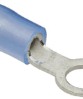 Blue Nylon Insulated Ring Tongue Terminal Insulug For 16-14 AWG Wire Range, showing one-piece copper barrel.