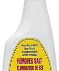 Professional Strength Salt Remover Spray For Heavy Build Up Removal, Spray On Let It Sit, No Scrub Needed, 16 Fl Oz, yellow label