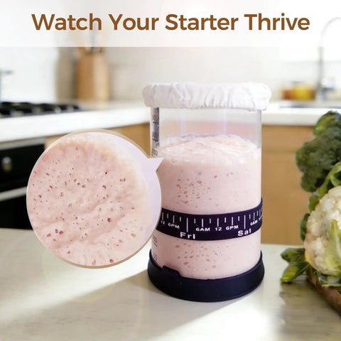 Pro Sourdough Bread Starter Kit With 34 Oz Jar Funnel Opening Silicone Cover on kitchen counter showing active dough