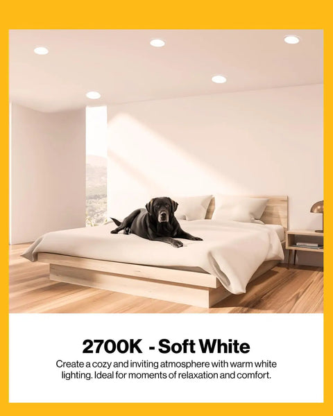 BR30 LED Recessed Can Light Bulbs 850 Lumen 11W 65W Equivalent Dimmable 2700K Warm White E26 Bedroom with dog on bed