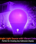 Blue LED A19 2 Pack 9W 60W Equivalent Non Dimmable E26 Base Blue Light Bulbs illuminating a house for festive decor.