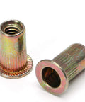 Two zinc-coated carbon steel SAE rivet nuts with knurled body and 1/4-20 threads.