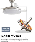 Smooth Operator 42 Inch Retractable Ceiling Fan With Super Quiet Dc Motor and Heavy Duty Build showcasing copper motor for quiet airflow.