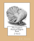 Practical Pigeon Guide For Fanciers And Bird Nerds With Origins Of Fancy Pigeons Housing And Accommodations Feeding And Nutrition Pigeons