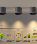 Ultra Sleek Black 5 Inch LED Ceiling Light Fixture Flush Mount Dimmable 14W 3000K Ra90 No Fuss Easy Install