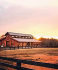 Buckwild Aging Wood Stain Drops Real Barnwood Charm On Any Deck Making Weathering A Hassle Free Experience Swirls Rich Grays And Browns In One Easy Swipe Locks In A Smooth Vintage Look Zero Toxic Buzz In A Trusty 5 Gallon Jug at a rustic barn during sunset.
