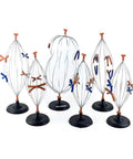 Hands On Biology Cell Model Set For Animal And Plant Mitosis And Meiosis Nine Part Anatomy Lab Kit showing cell stages.