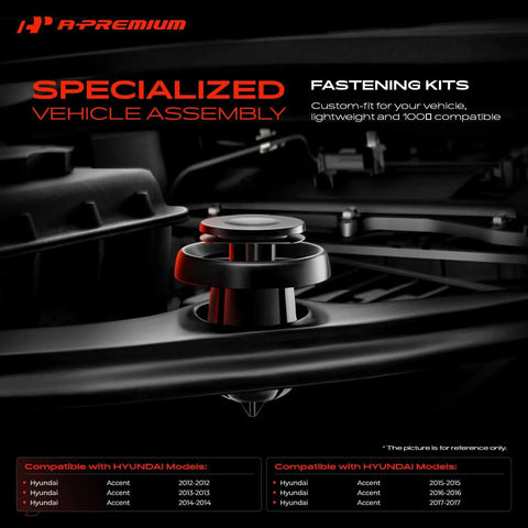 Top Shelf 310 Piece Retainer Clip Assortment For Hyundai Accent 2012-2017 close-up of fastener kit highlighting installation points.