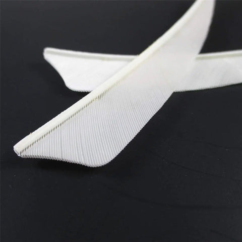Close-up of white fletching from Archery Feather Fletching Set, 4 Inch Real Turkey Vanes For Hunting And Target Shooting, Right Wing 100 Percent