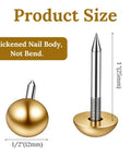 Twenty Piece Pack Of Solid Brass Upholstery Tacks With Top Shelf Hold And A Sweet Vintage Look For Furniture Projects Smooth Woodcraft Crafts And Easy Diy Home Decor Fixes In Classic Gold Finish And One Half Inch Heads showing 1/2 inch brass caps and nail body size.
