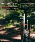 Loam Dropper Post Gen 2 Black Internal Routing MTB Seatpost With 25mm Adjustable Travel in forest trail setting.