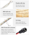 Waterproof LED Rope Lights 32.8Ft Ultra Bright 1200 LEDs 2835SMD 24V DC Warm White 3500K with flexible strip and DC connector