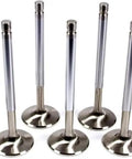 1.600 Inch Exhaust Valve Set Of 8 For Small Block Chevy Short Block Engines, showing stainless steel valves in a row.