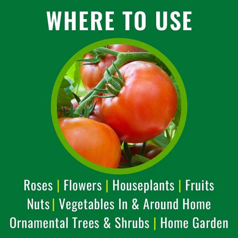 Neem Oil Spray For Gardening Ready To Use Insect And Fungus Control No Mixing For Houseplants And Home Gardens 24 Ounce Bottle Kills Aphids Whiteflies Spider Mites Japanese Beetles And More includes use on tomatoes in gardens