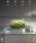 12 Pod Hydroponics Indoor Garden System with LED grow light on kitchen counter, showing green plants under adjustable light.