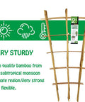 Image of a Sturdy Bamboo Garden Trellis Set Of 3, 24 Inch tall showing ladder style design made from high quality bamboo.