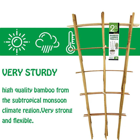 Image of a Sturdy Bamboo Garden Trellis Set Of 3, 24 Inch tall showing ladder style design made from high quality bamboo.