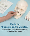 Demonstration of Life Size Skeleton Model For Anatomy Study With Fully Articulated Joints, Hands On Demonstration, Includes 3 Printed Guides
