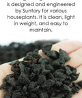 Hand holding Pafcal organic plant sponge chips, soilless growing media for houseplants, showcasing texture and size.