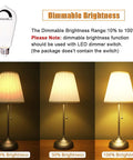 ST64 Vintage LED Bulbs 6W 60W Equivalent, 2700K Warm White, dimmable brightness range 10% to 100% shown on a lamp