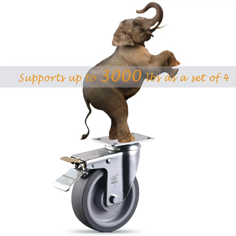 Heavy Duty Five Inch Caster Wheels Set Of Four With Dual Lock Brakes Built Tough TPR Rubber Industrial Casters for rolling carts with elephant standing on caster.