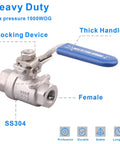 DERNORD stainless steel 304 ball valve with blue locking lever, 1/4 in NPT