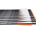 16 Inch Carbon Crossbow Bolts For Hunting And Archery Arrows With 4 Inch Vanes Moon Nocks Target Tips Pack Of 12 Lightweight, Fast, Dead-On Accurate For Beginners And Youth Hunters aligned in a row